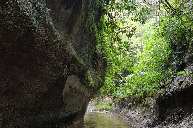 Route of the Dreams Full-day Trekking Jungle Tour in Tena - Trekking Itinerary
