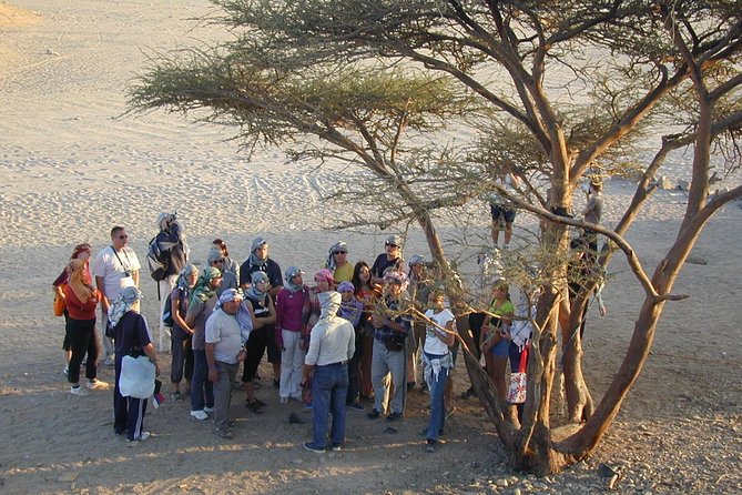 Sahara Park Safari and Visit to Bedouin Village From Hurghada - Meeting and Pickup Details