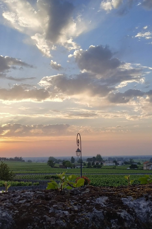 Saint-Emilion After Dark: Highligts City Tour at Sunset - Saint-Émilion Guided Tour Itinerary