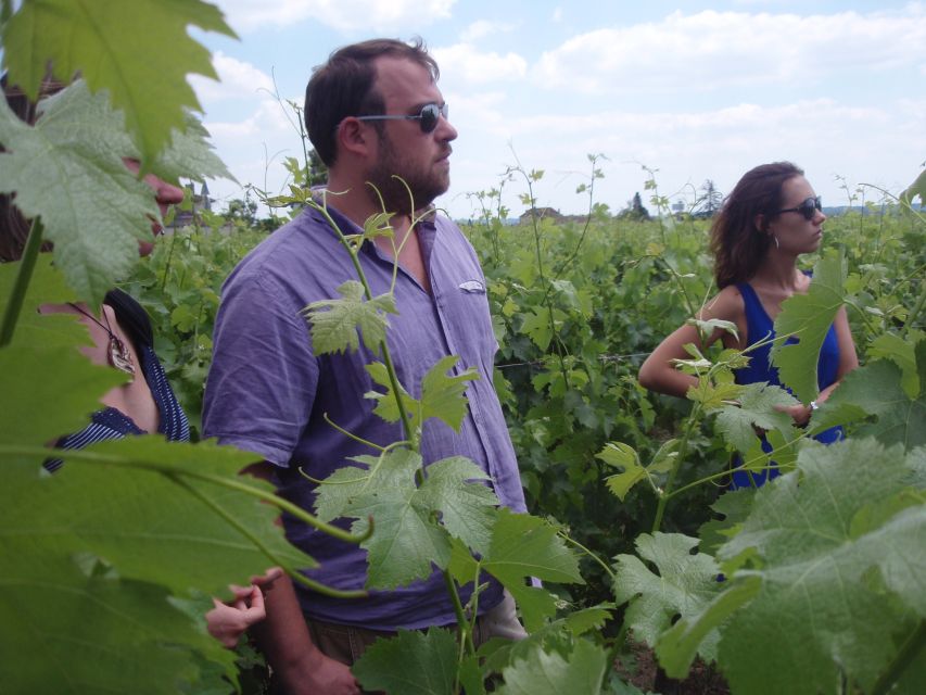 Saint-Émilion: Vineyard Walking Tour and Tasting - Pricing and Duration