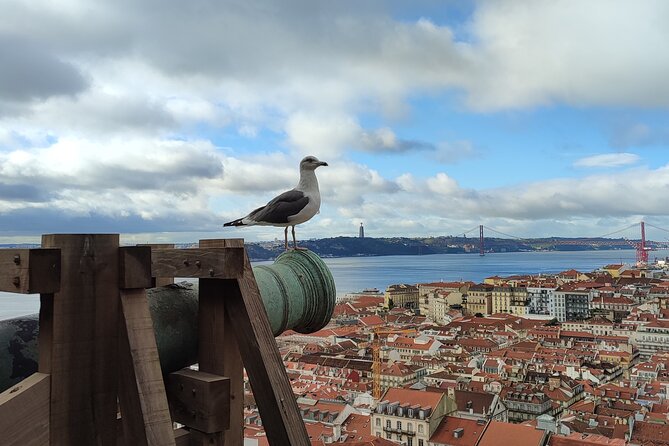 Saint George Castle Guided Tour From Lisbon - Castle Visit Details and Duration