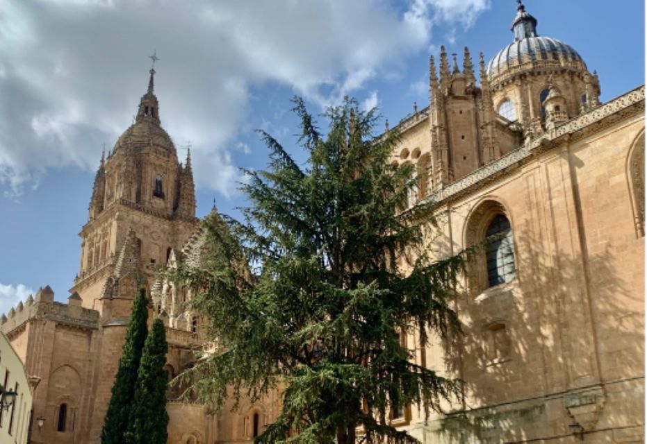 Salamanca Genial : Private Guided Walking Tour - Full Tour Description