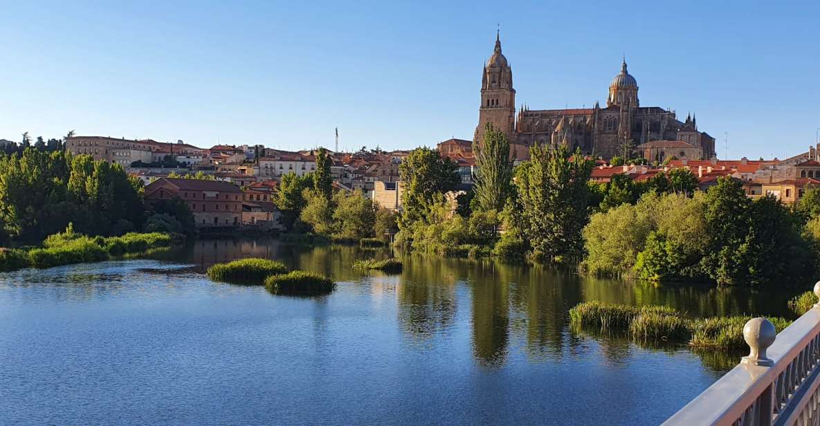 Salamanca: Private Tour of the Most Important Sites - Tour Highlights