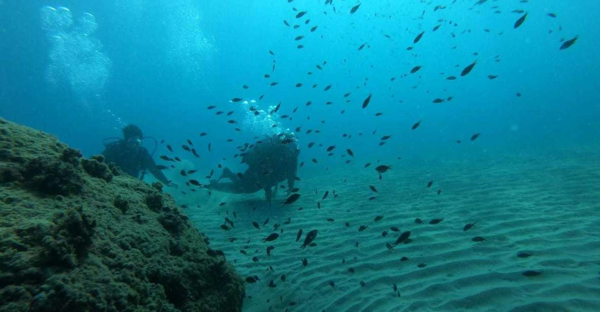 Salou: Scuba Diving for Beginners - Experience Highlights