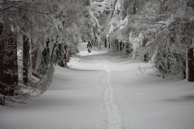 Samobor and NP Zumberak Private Winter Hike From Zagreb - Hiking Route Details