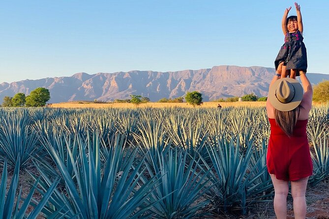 Sample Tequila in Its Namesake Town of Jalisco on This Tour.  - Guadalajara - Cancellation and Weather Policies
