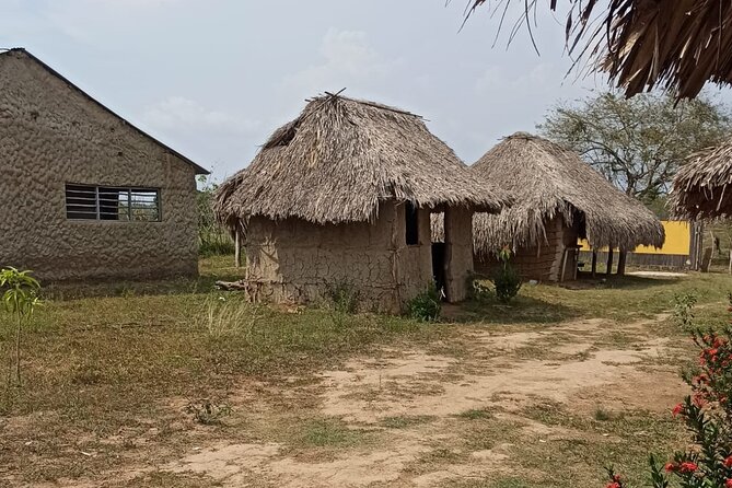 San Basilio De Palenque UNESCO World Heritage Site Daytrip: Africa in America - Cultural Immersion Through Food and Music