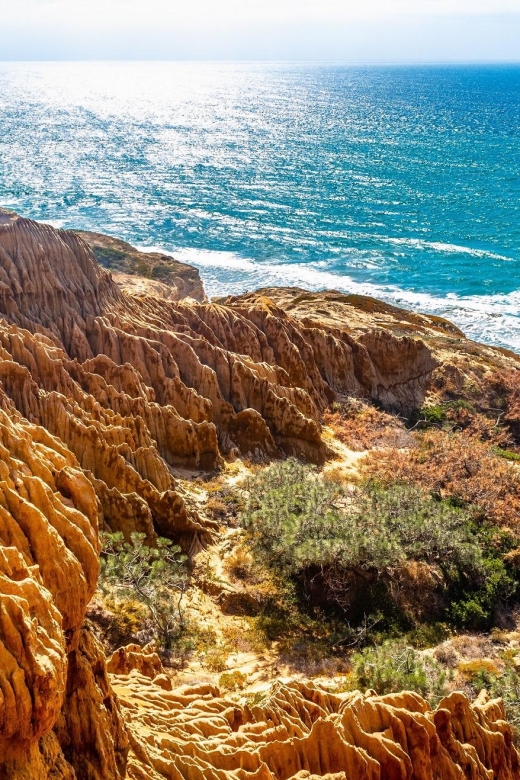 San Diego: Beaches & Bluffs Self-Guided Driving Tour - Reservations