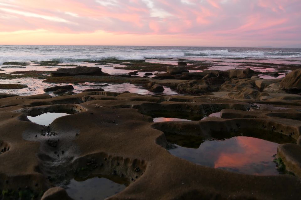 San Diego: La Jolla Self-Driving Audio Tour - Tour La Jolla Cove and Beyond