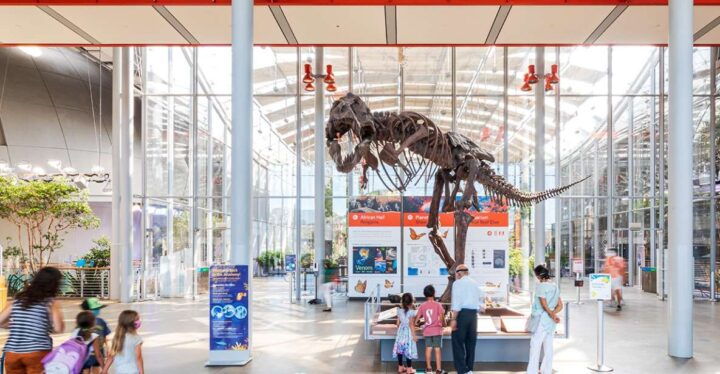 San Francisco: California Academy of Sciences Entry Ticket - Experience Highlights