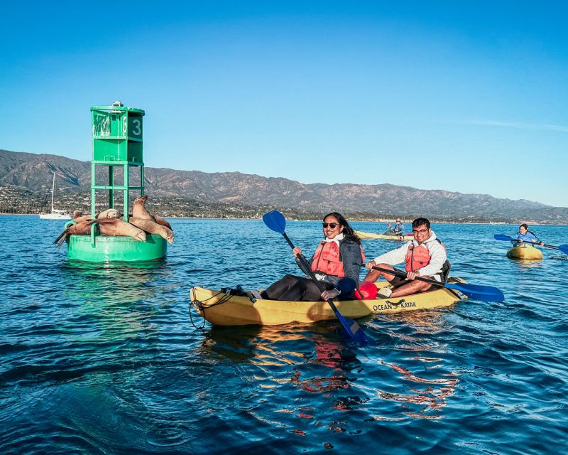 Santa Barbara: Guided Kayak Tour - Experience