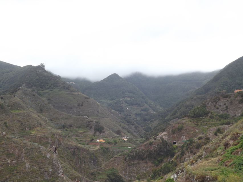 Santa Cruz De Tenerife: 2-Hour Hiking Tour in Anaga Forest - Tour Duration