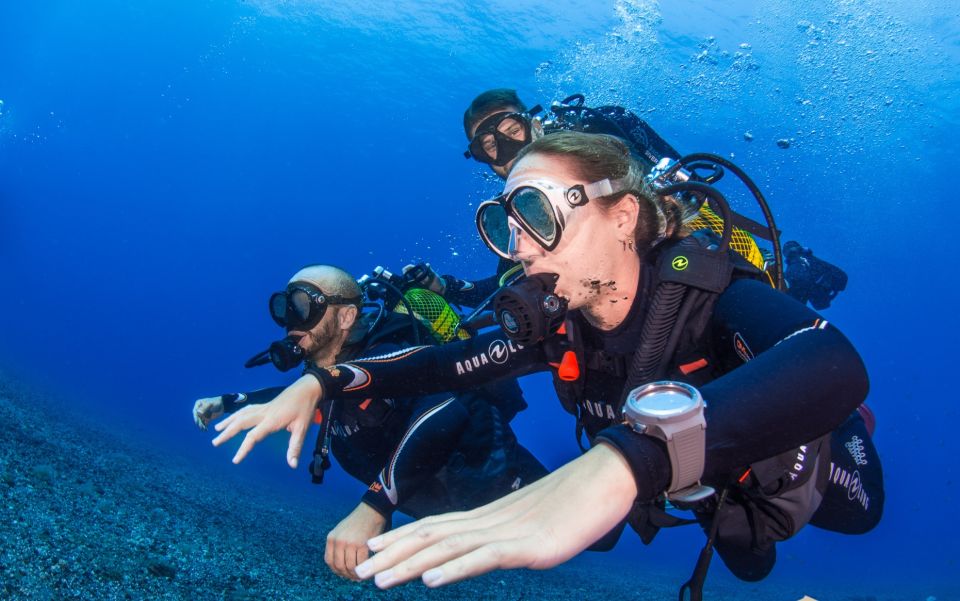 Santa Cruz De Tenerife: Introductory Diving Course & 2 Dives - Experience Information