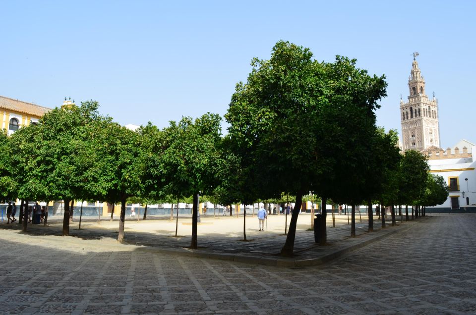 Santa Cruz Neighborhood, the Former Jewish of Seville - Cultural Experience