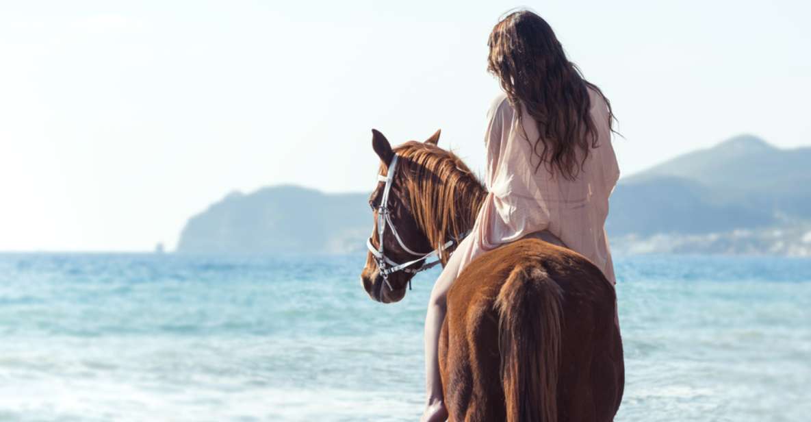 Santorini: Horse Riding Trip to Black Sandy Beach - Provider Details