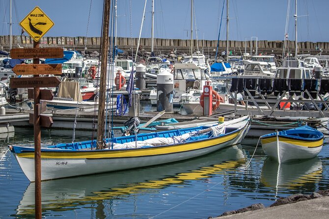 São Miguel: Azorean Whalers Heritage Tour - Return Details