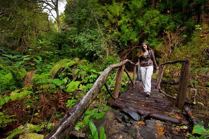 Sao Miguel Azores to Faial Da Terra Trek From Ponta Delgada - Tour Inclusions