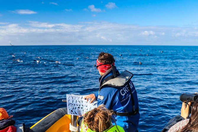 São Miguel Bird-Watching Boat Tour From Vila Franco Do Campo  - Sao Miguel - Logistics and Schedule