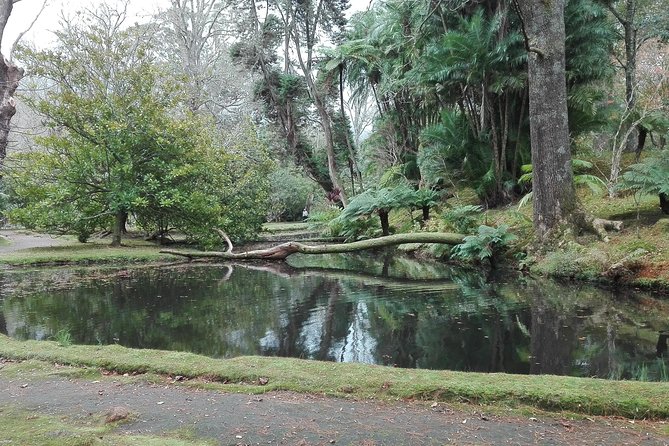 São Miguel Island Private Half-Day Furnas and Hot Springs Tour  - Ponta Delgada - Meeting and Pickup Details