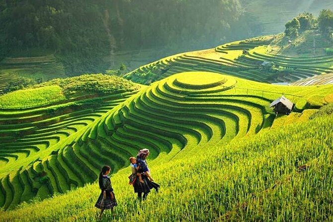 Sapa 1 Day Trekking Tours - Itinerary Overview