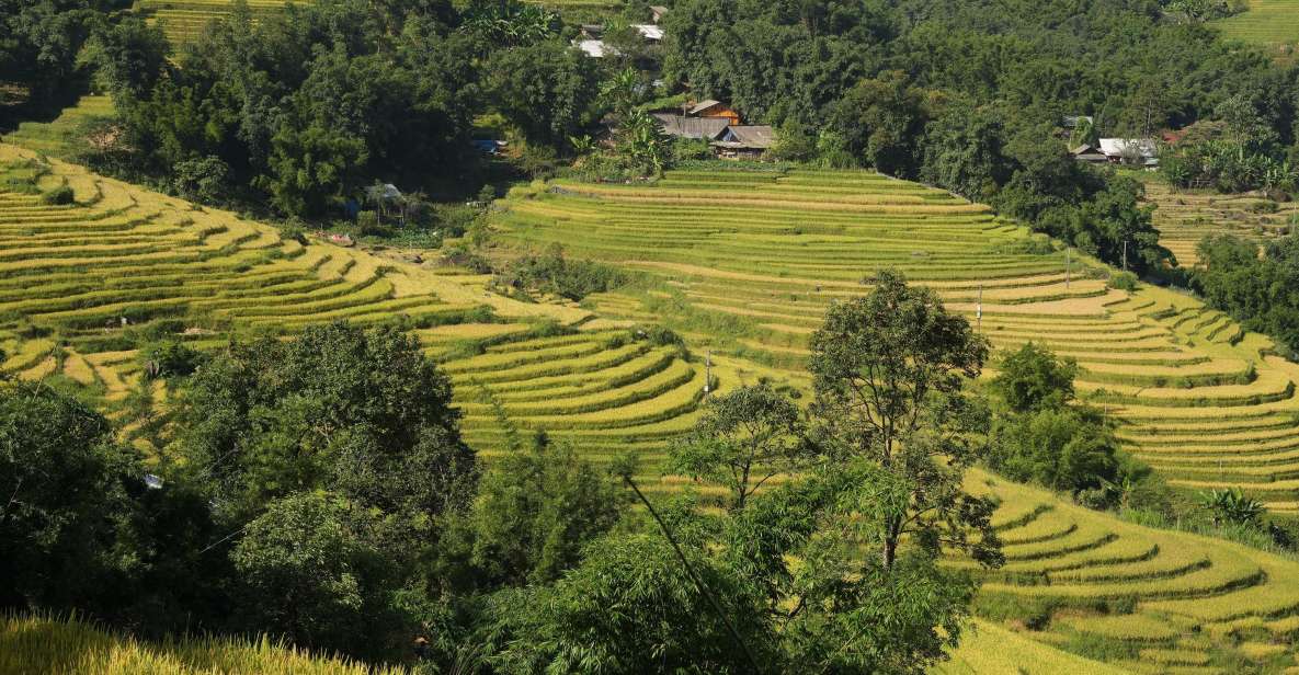 Sapa Daily Trip: Easy Trekking and Hotel 2 Days 1 Night - Booking and Flexibility