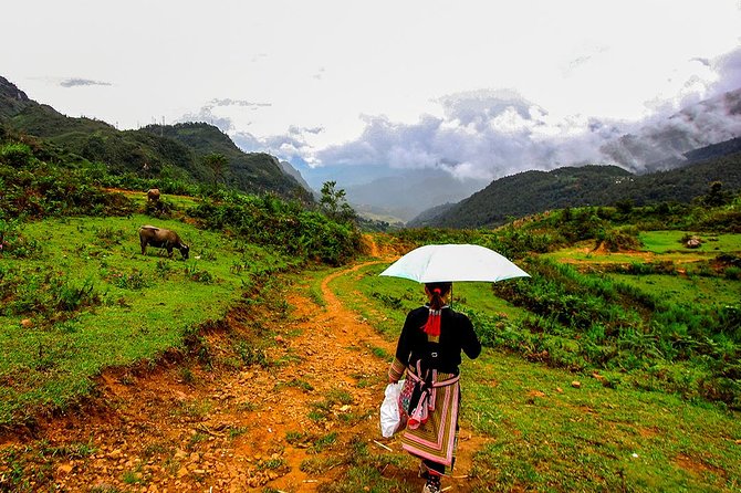 Sapa Easy Trekking Tour 1 Day - Rice Paddies and Cultures - Itinerary Highlights