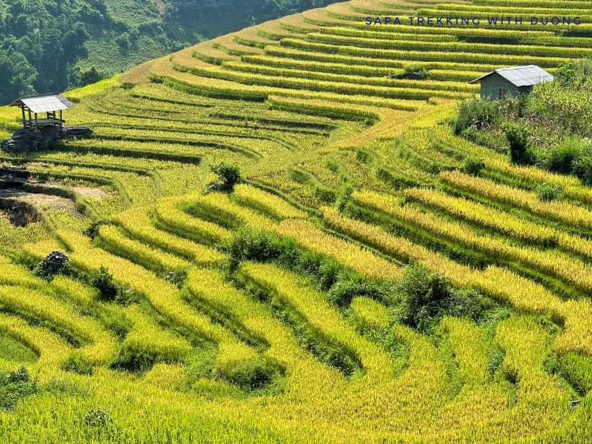 Sapa: Private Muong Hoa Valley and Homestay Trekking 2-Day - Location Highlights