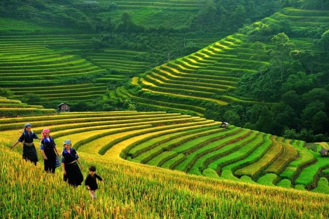 Sapa Trek 3 Days 3 Nights Small Group Tour - Homestay and Hotel From Hanoi - Included Meals and Language