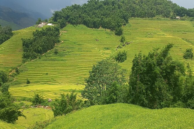 Sapa Trekking / Hiking Through Sapa Valley With Native Hmong - Cultural Immersion and Local Interactions