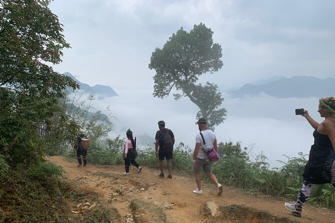 Sapa Trekking Trail 1 Day - Mountain & Terraced Rice Valley View - Traveler Photos Showcase