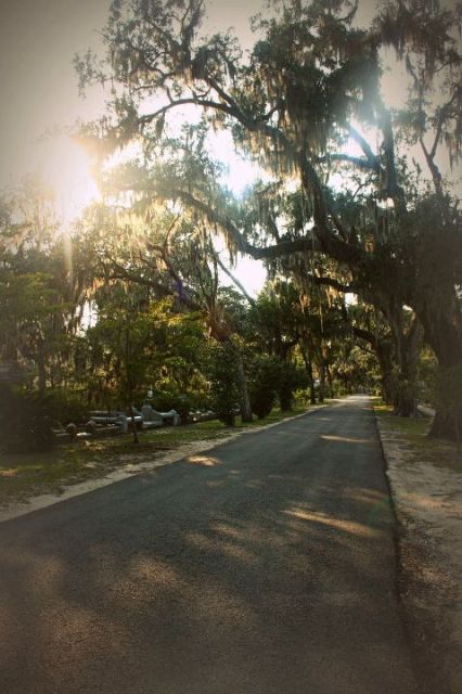 Savannah: Bonaventure Cemetery With Shannon Scott - Activity Details