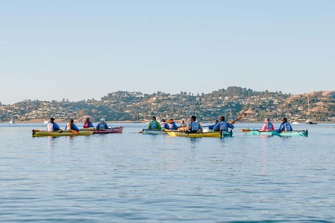 Scenic Sausalito Kayak Tour: Beginners Welcome - Tour Highlights