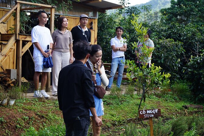 Scented Candle Workshop in Twin Beans Farm Da Lat - Workshop Operator