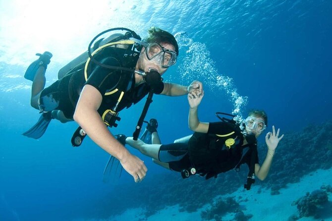 Scuba Diving Activity in Dubai With Hotel Pickup - Participation Restrictions and Recommendations