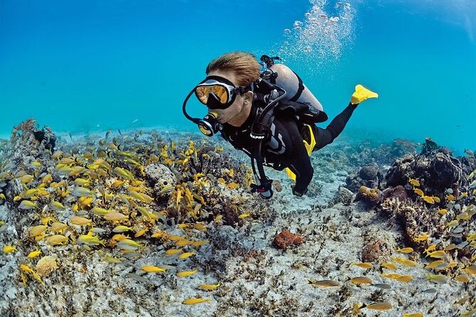 Scuba Diving Adventure in Dubai - Experience Overview