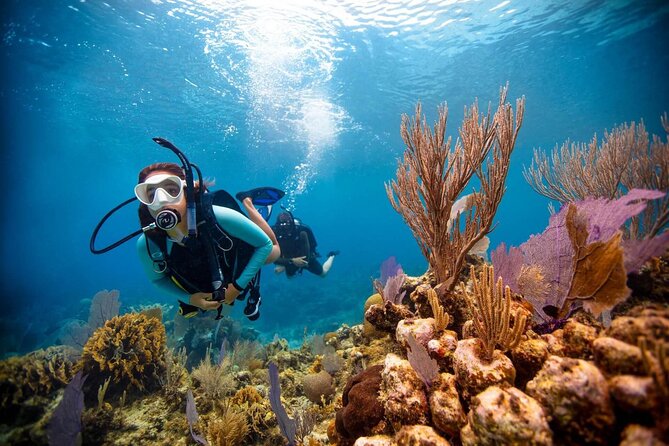 Scuba Diving at Jumeirah Dubai With Private Transfers - Booking and Operational Information