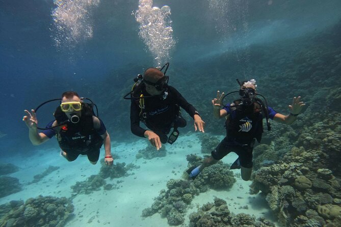 Scuba Diving Experience in Hurghada With Lunch - Booking Details and Instructions