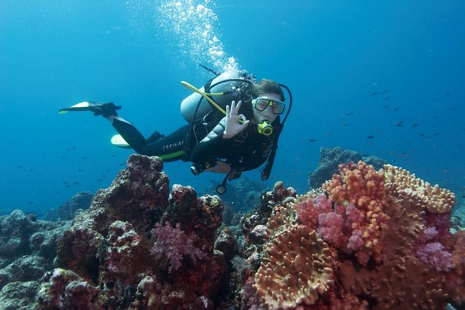Scuba Diving From Antalya - Pickup Information