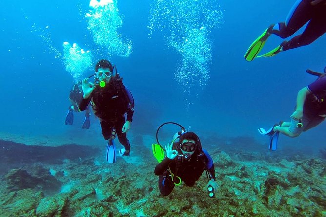 Scuba Diving From Bodrum - Booking Information and Pricing Details