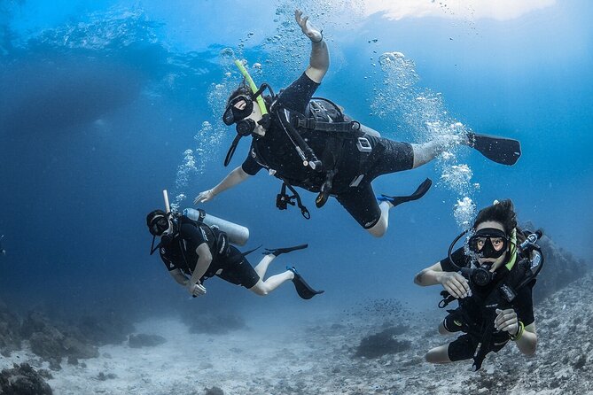 Scuba Diving Tour From Abu Dhabi to Dubai - Tour Overview and Inclusions