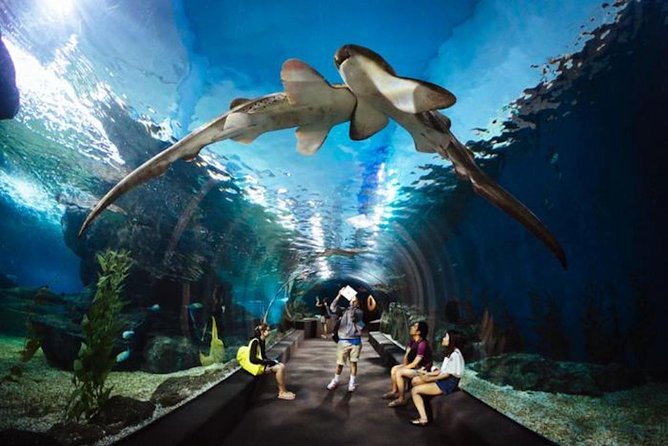 SEA LIFE Ocean World in Bangkok Admission Ticket - Booking and Experience Information