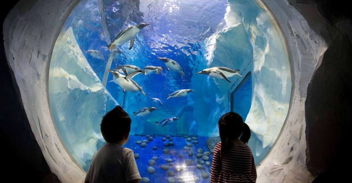 SEA LIFE Paris: Admission Ticket - Cancellation Policy and Accessibility