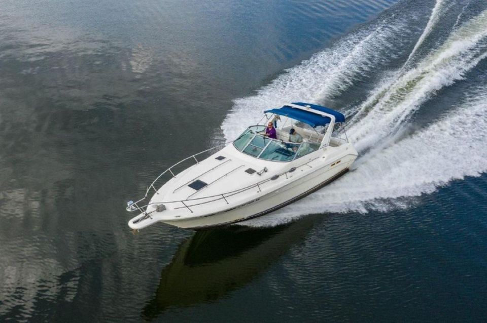 Sea Ray 330 With Captain for 10 People! - Activity Details