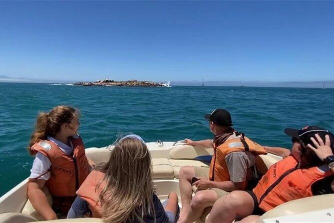 Seal Island Tour in Mossel Bay - Maximum Travelers and Admission