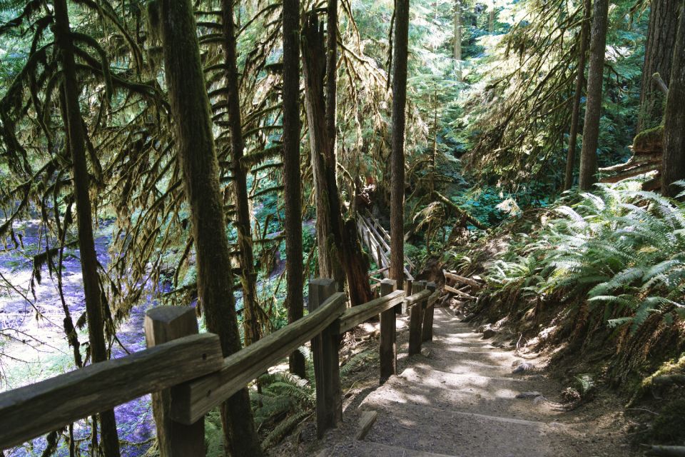 Seattle And Olympic NP Self-Guided Audio Bundle Tour - Itinerary Details