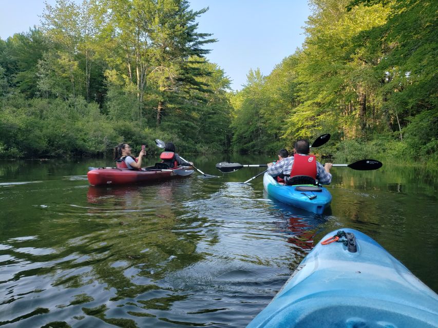 Sebago Lake: Half-Day Kayak Rental - Experience Highlights