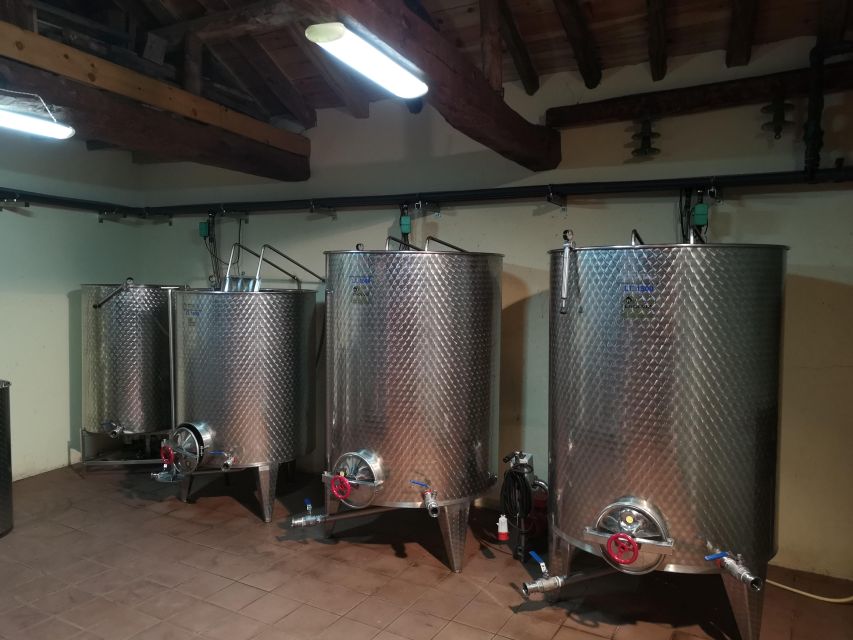 Segovia: Winery Tour With Wine Tasting - Duration and Languages Offered