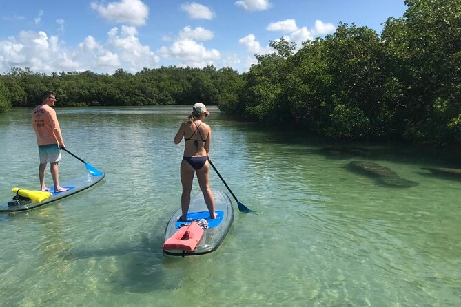 Self-Guided Island Tour - CLEAR or Standard Kayak or Board - Bonita Springs - Additional Information