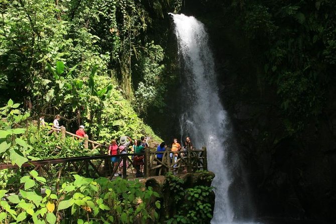 Semi Private La Paz Waterfall Gardens & Safari in Sarapiqui River From San Jose - Customer Reviews