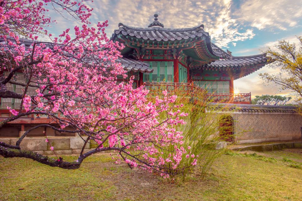 Seoul: Ancient Palaces and Scenic Points Walking Tour - Experience Highlights